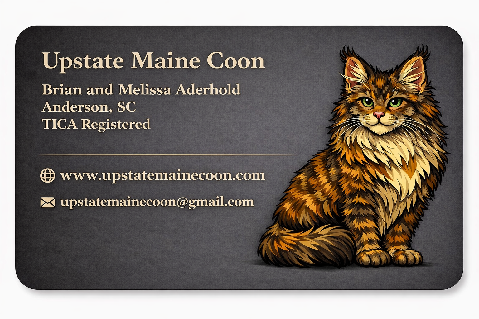 Upstate Maine Coon